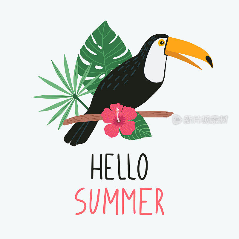 Toucan bird with exotic tropical leaves and flowers. 你好,夏天刻字。